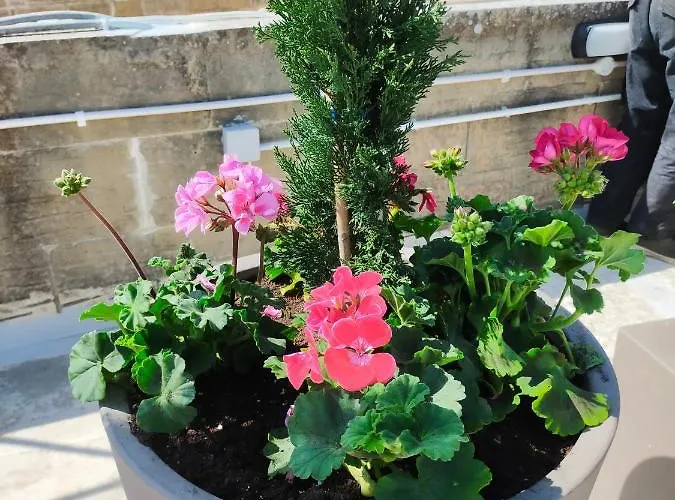 Gozo Rustic With Stunning Views And Swimming Pool Holiday home Sannat