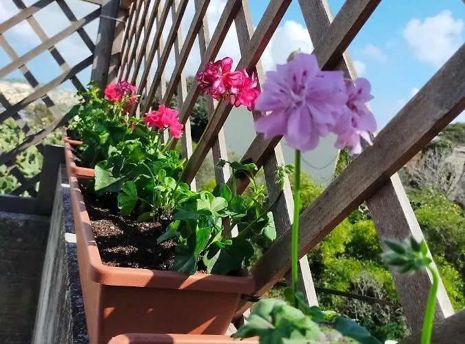 Gozo Rustic With Stunning Views And Swimming Pool Sannat