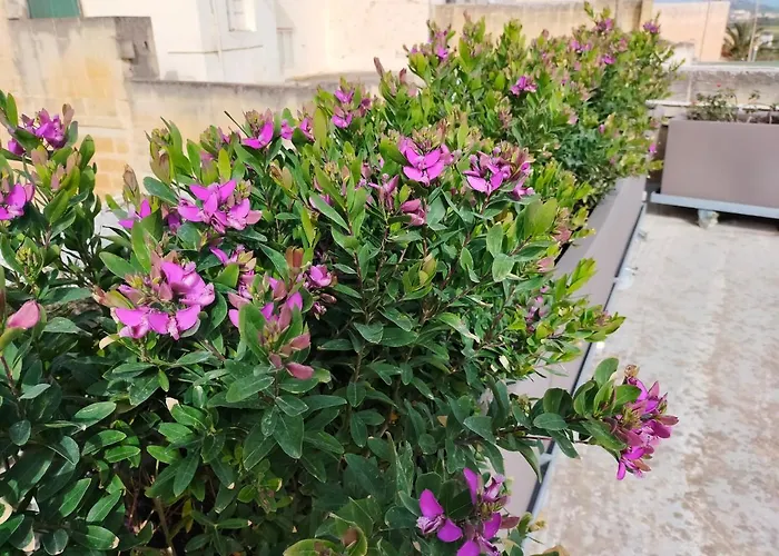 Holiday home Gozo Rustic With Stunning Views And Swimming Pool *