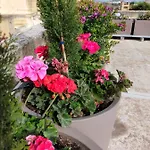 Holiday home Gozo Rustic With Stunning Views And Swimming Pool Sannat