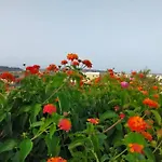 Gozo Rustic With Stunning Views And Swimming Pool * Sannat
