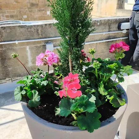 Gozo Rustic With Stunning Views And Swimming Pool בית נופש Sannat