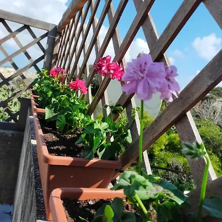 Gozo Rustic With Stunning Views And Swimming Pool Sannat