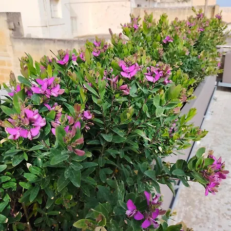 Ferienhaus Gozo Rustic With Stunning Views And Swimming Pool *