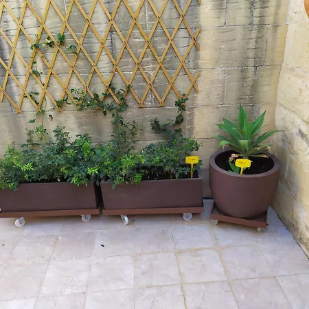 Gozo Rustic With Stunning Views And Swimming Pool Sannat