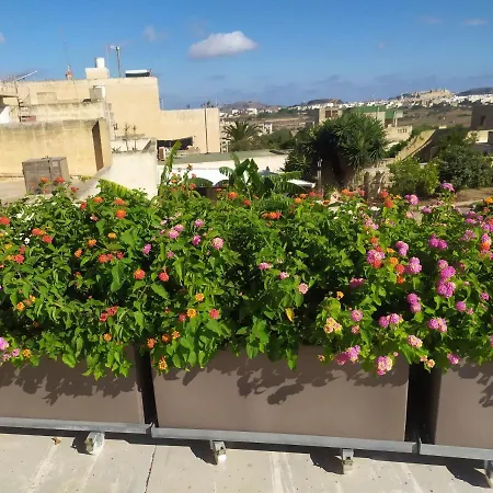 Ferienhaus Gozo Rustic With Stunning Views And Swimming Pool *