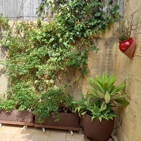 Gozo Rustic With Stunning Views And Swimming Pool * Sannat