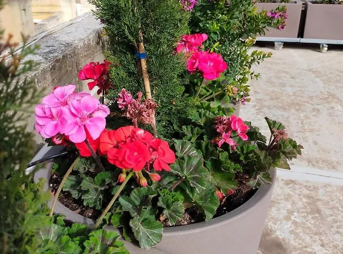 Feriehus Gozo Rustic With Stunning Views And Swimming Pool Sannat