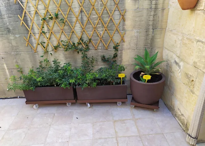 Gozo Rustic With Stunning Views And Swimming Pool Sannat