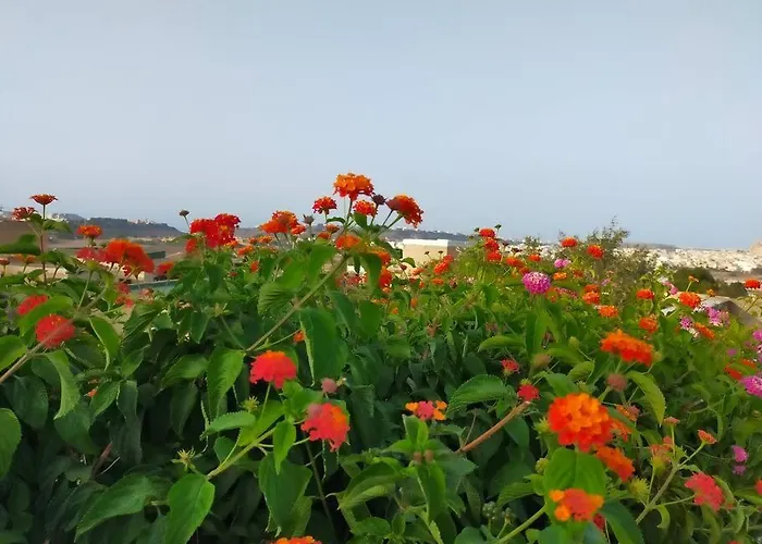 Gozo Rustic With Stunning Views And Swimming Pool * Sannat